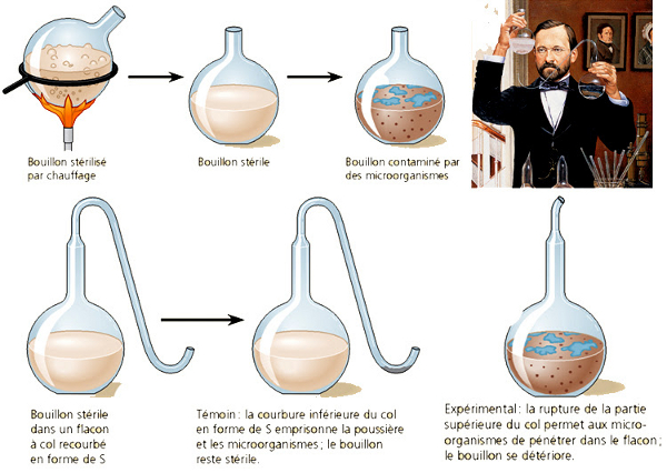 Marchons dans les pas de Louis Pasteur